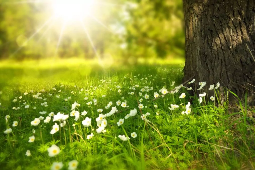 Opto-Mization optometry clinic interior showcasing vision therapy equipment and patient consultations.
