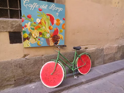 Opto-Mization optometry clinic interior showcasing vision therapy equipment and patient consultations.