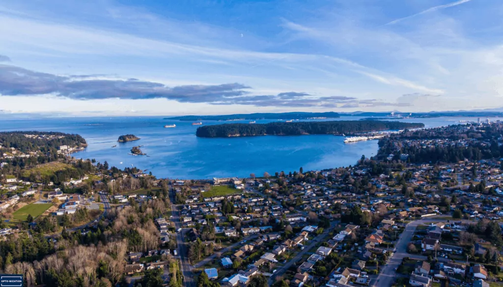 Vision Therapy in Nanaimo: How Opto-Mization Is Changing Lives Through Functional Vision Care