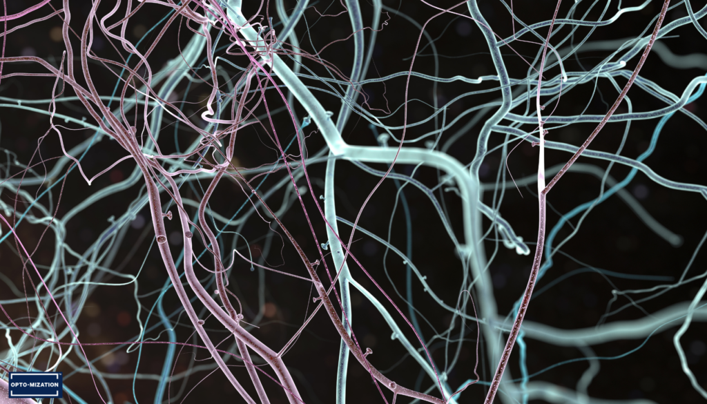 Neuro Optometrist in Victoria: Understanding Neuro-Optometric Vision Care