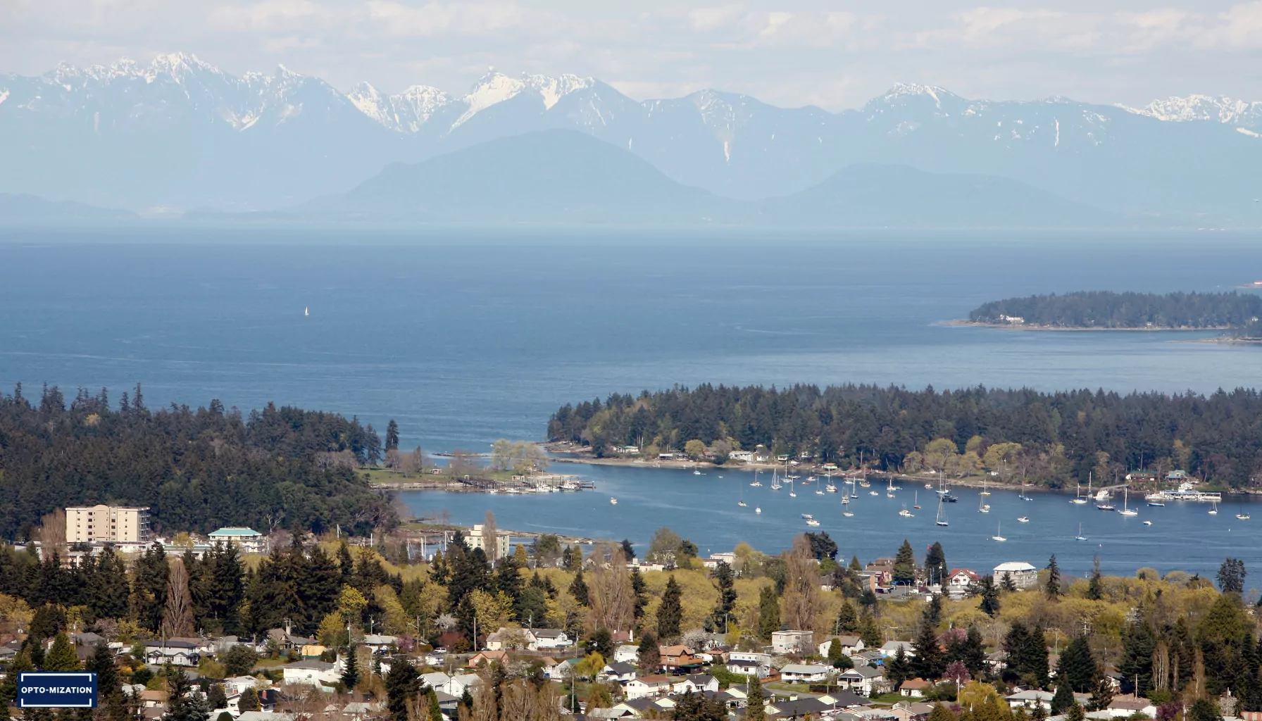 Why Opto-Mization Is One of the Best Vision Therapy Clinics on Vancouver Island: A Look at Quality, Care, and Results in Victoria and Nanaimo